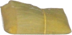 Pamonha